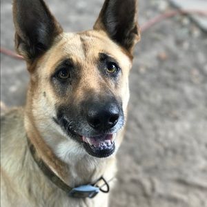 Meet your Posher, Andy